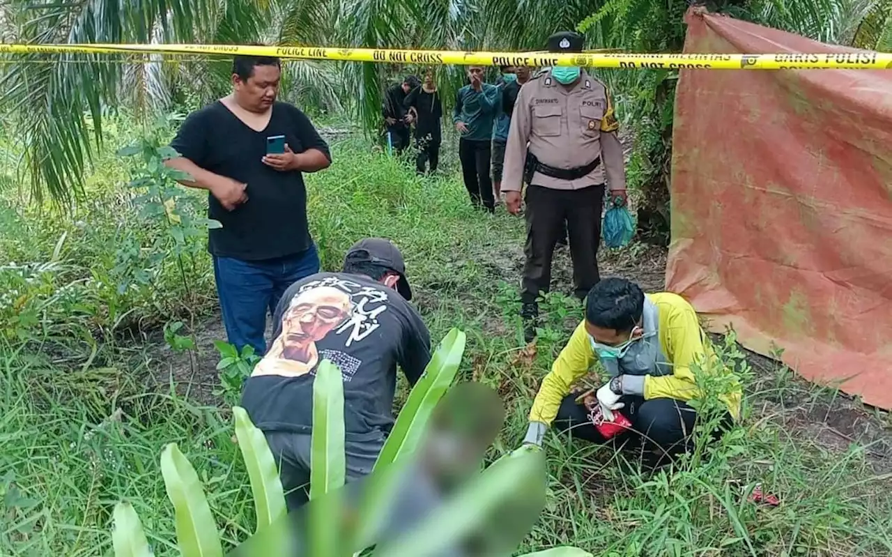 Temui Mantan Suami, Wanita di Rohil Dibantai Secara Sadis