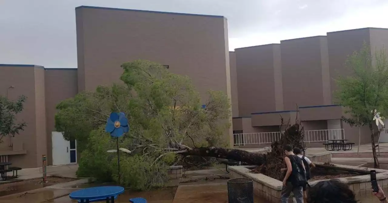 Marana storm update: Wade McLean Pool closed, high school football field damaged