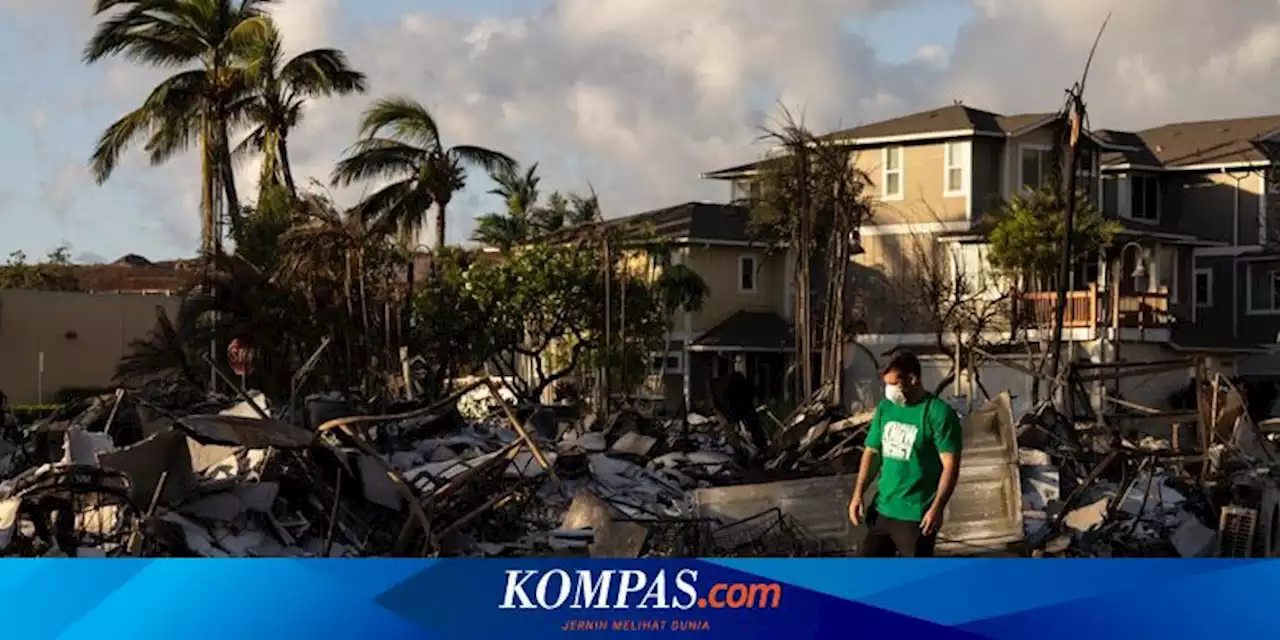 Kepala Badan Manajemen Darurat Maui Hawaii Mundur Usai Terima Banjir Kecaman