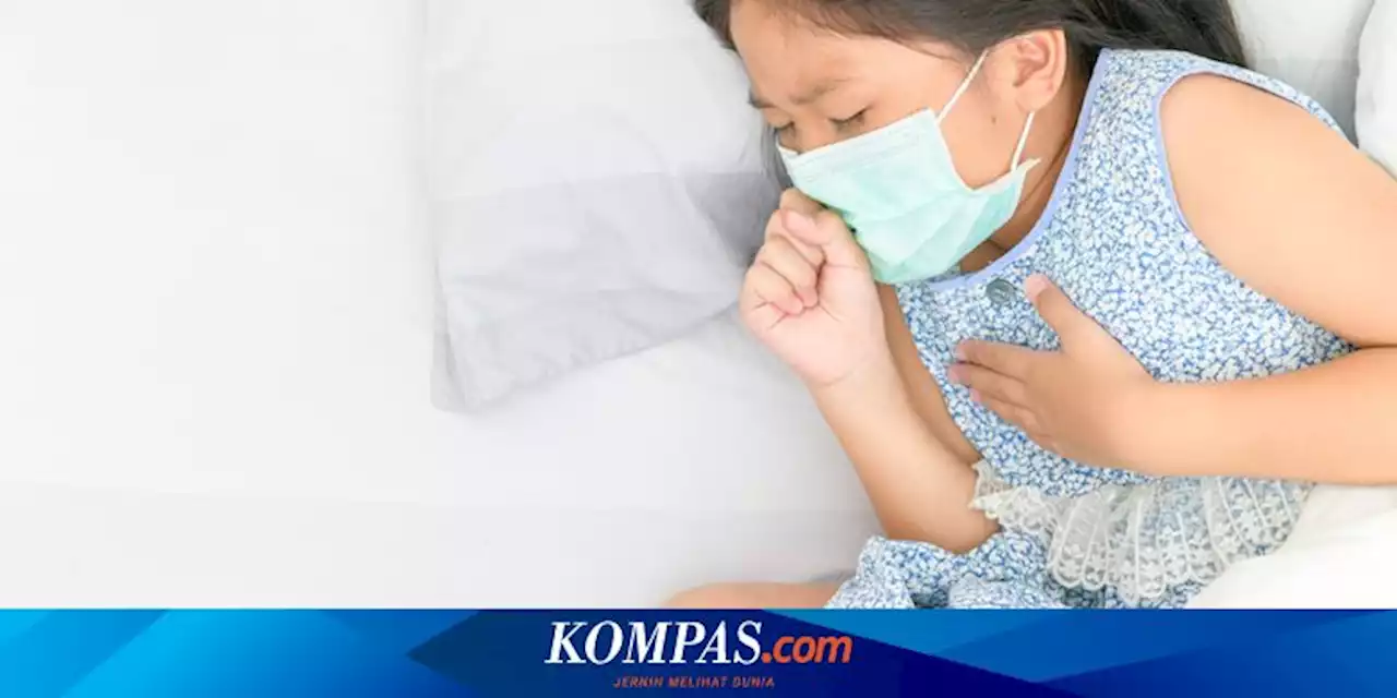 Mengapa Anak Mudah Terpapar Polusi Udara?