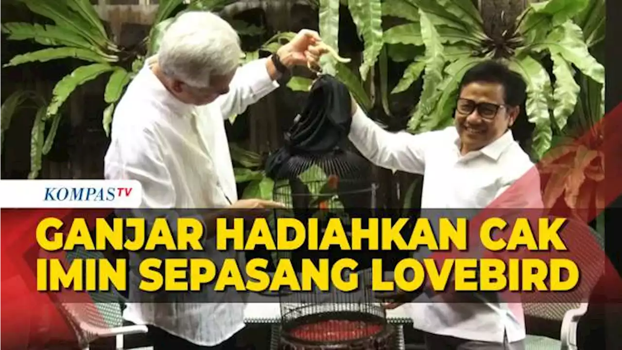 Momen Ganjar Hadiahkan Cak Imin Sepasang Lovebird Merah Hijau