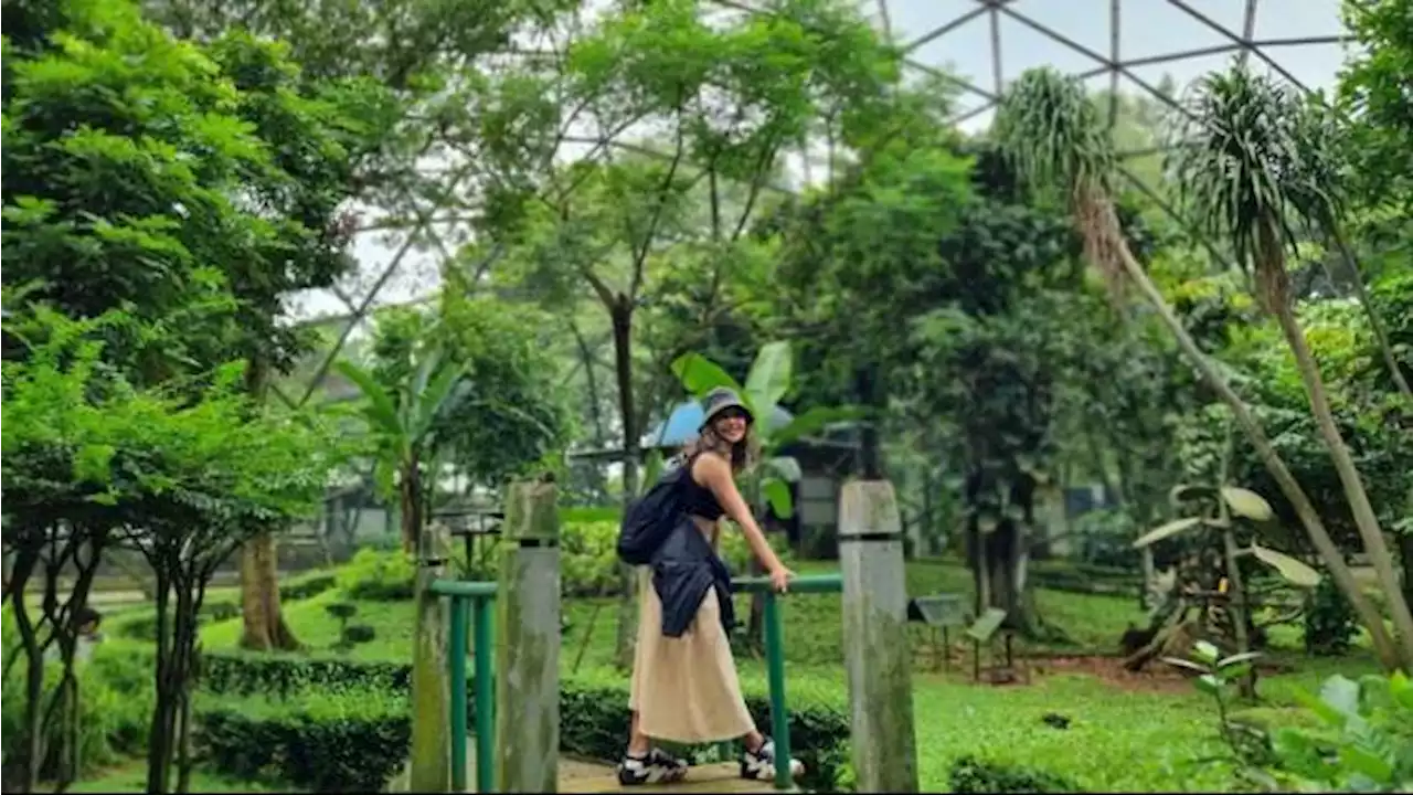 Taman Burung Jagat Satwa Nusantara TMII Mulai Dibuka Kembali, Segini Harga Tiketnya