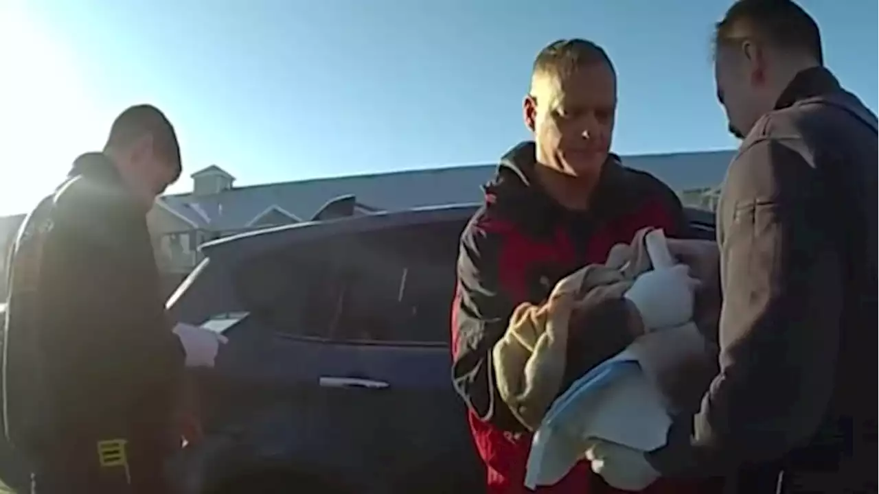 Video: Officer helps couple with surprise delivery on road