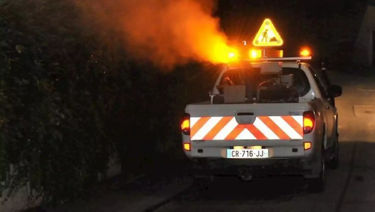 En Haute-Garonne, ces communes qui démoustiquent