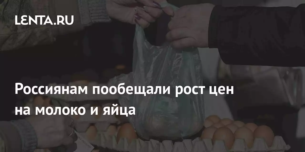 Россиянам пообещали рост цен на молоко и яйца