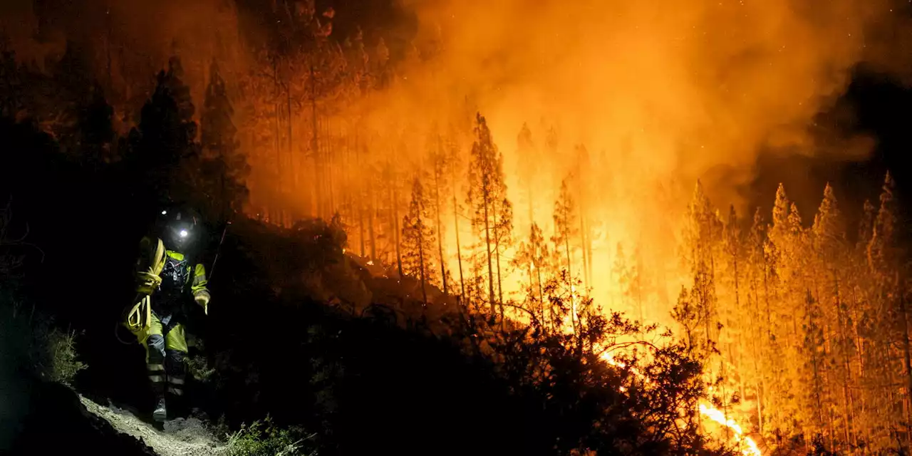 Canaries : 4 000 hectares brûlés dans les incendies qui ravagent Tenerife depuis mardi soir