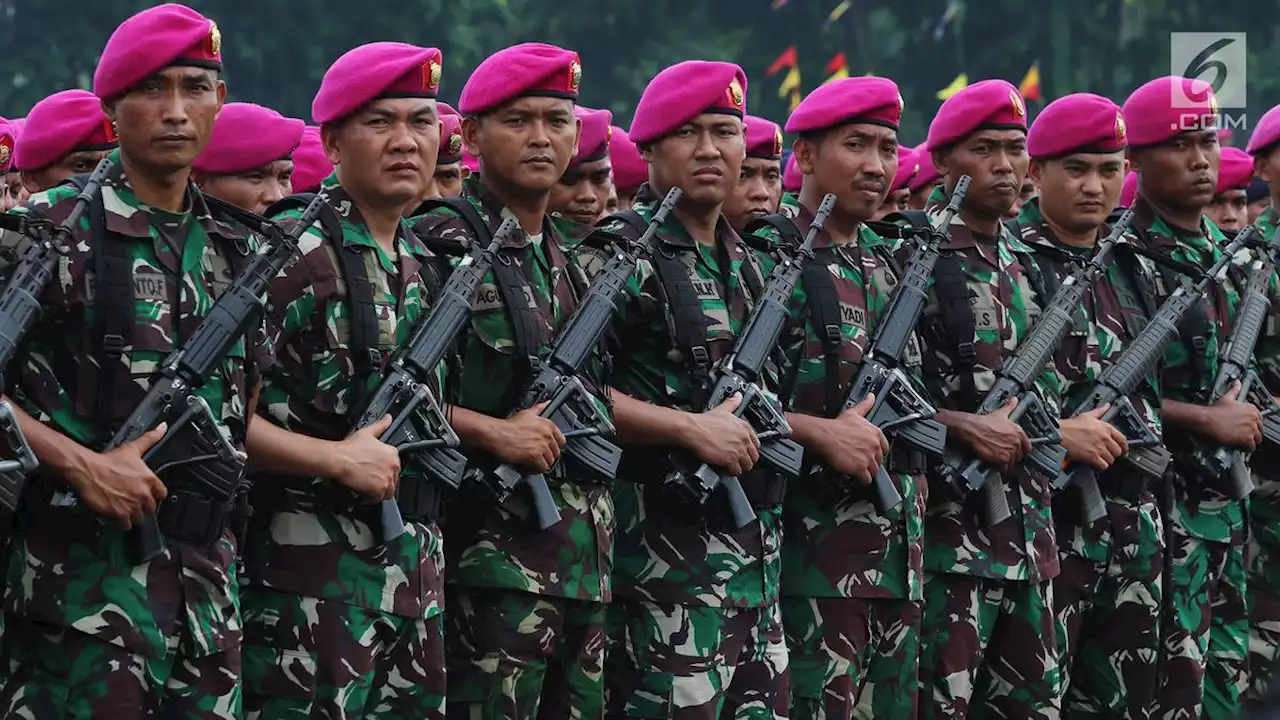 Laksamana Muda hingga Sersan Gugat UU TNI, Minta Masa Pensiun Perwira Jadi 60 Tahun