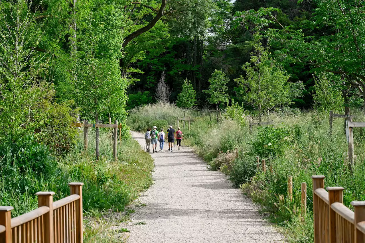 Aix-en-Provence parmi les villes les plus arborées de France