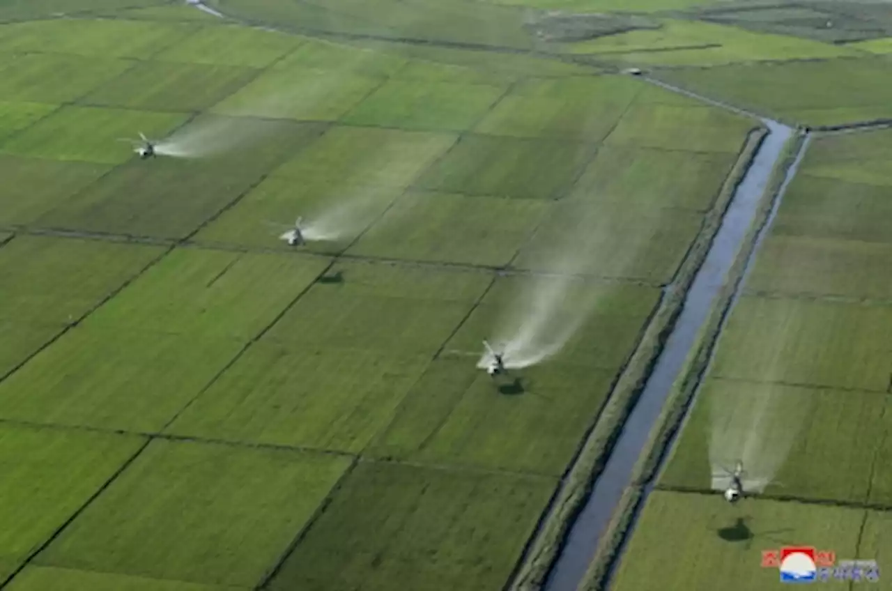 North Korea’s Kim visits typhoon-hit farmlands amid food shortage concerns