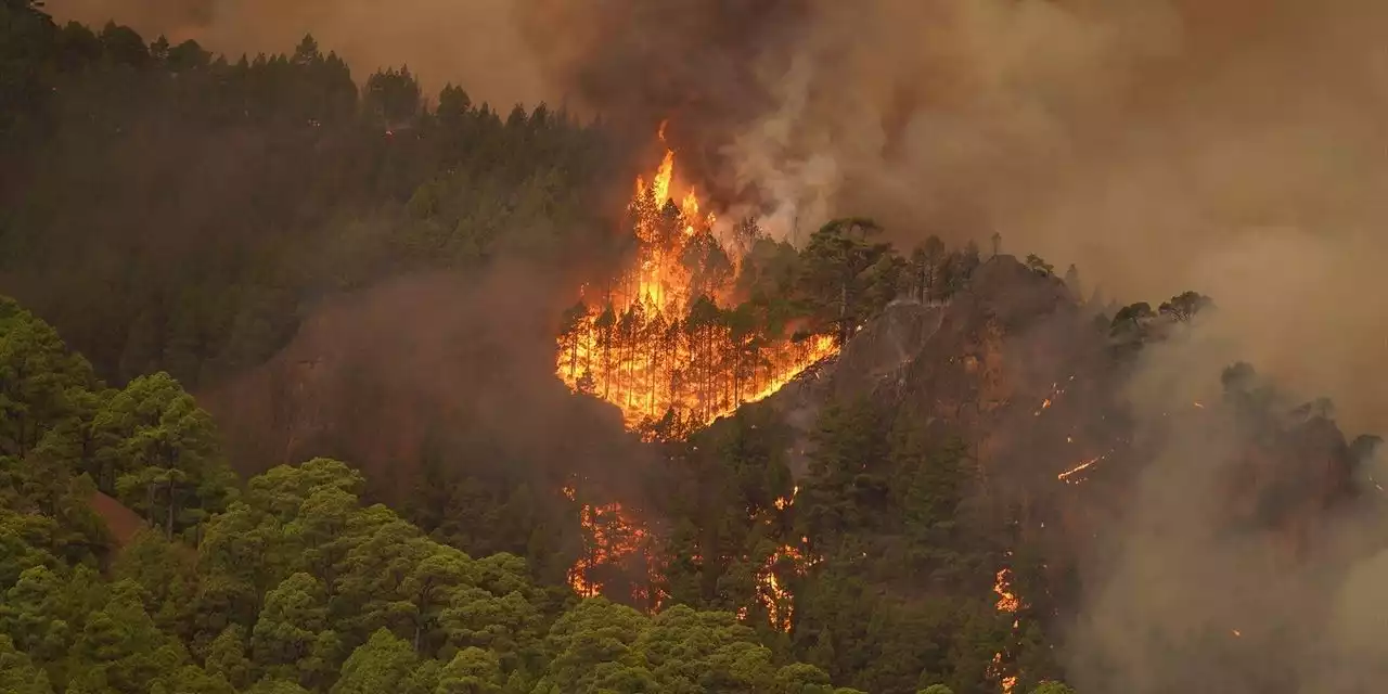 Wildfire on Canary island Tenerife has burned thousands of acres and affected thousands of people. It remains out of control.