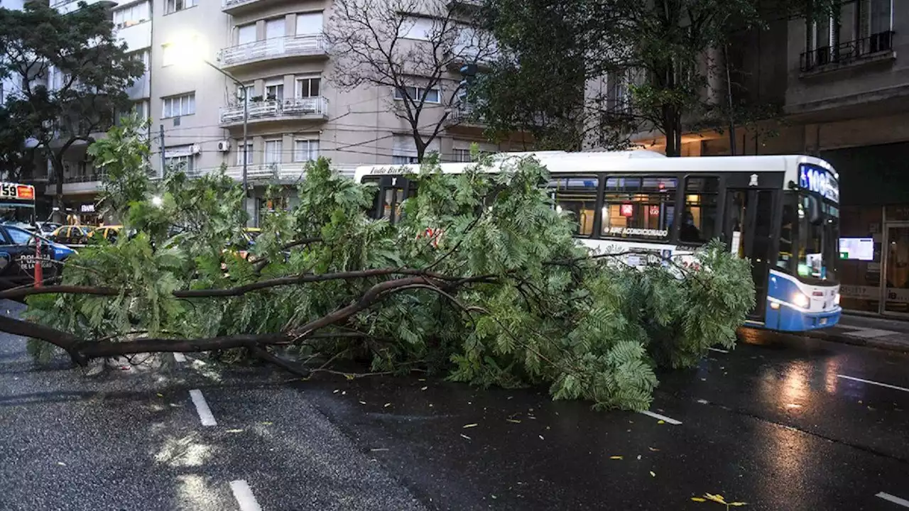 Clima en Buenos Aires: el pronóstico del tiempo para el viernes 18 de agosto