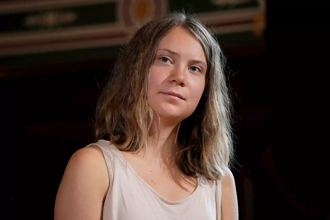 Greta Thunberg: «Brauchen radikalen Klimaschutz»