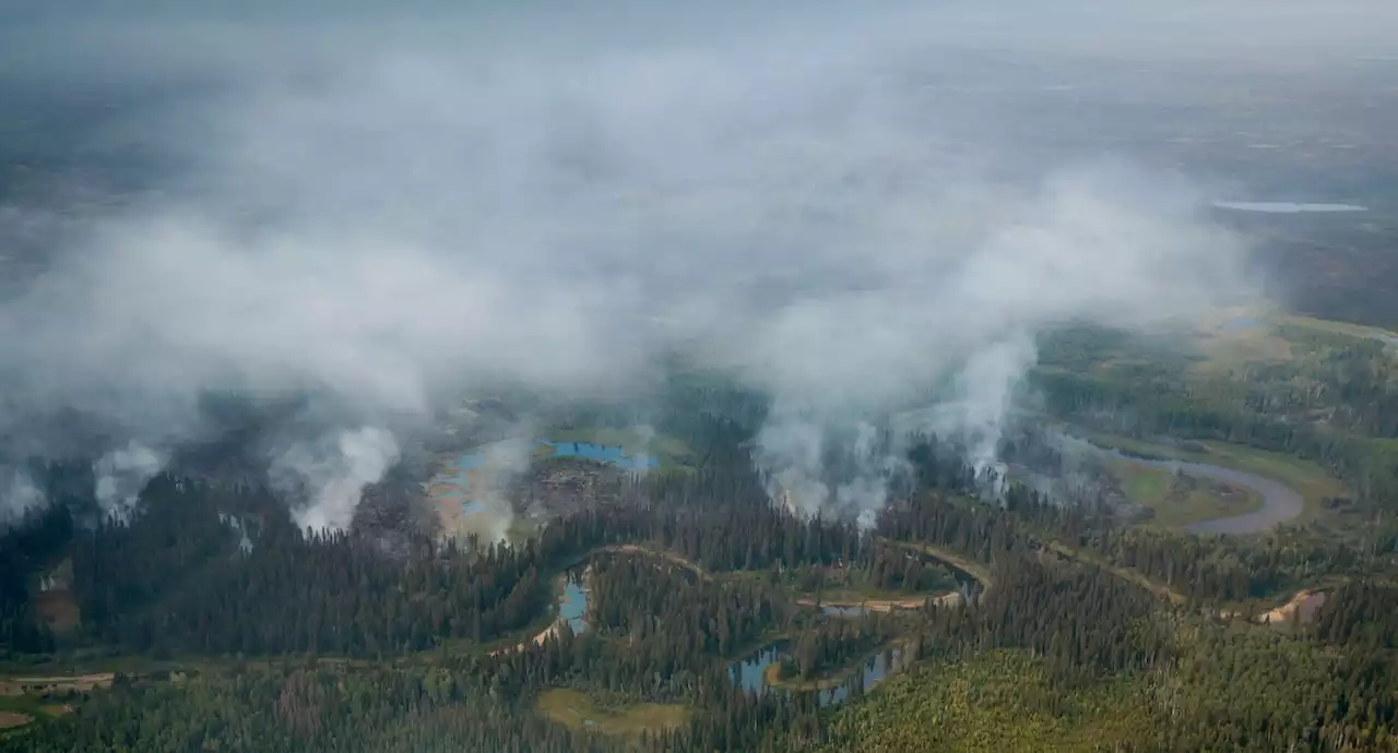 Tausende Menschen fliehen vor heftigen Bränden in Kanada