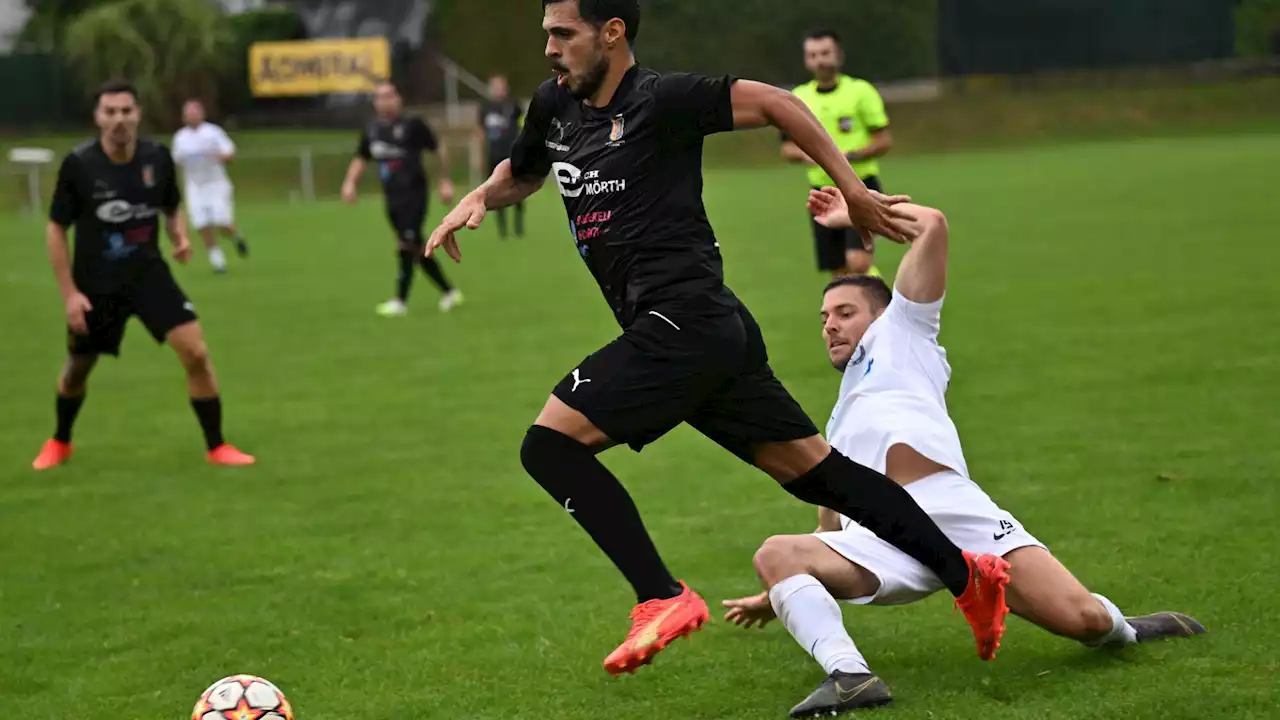 Livespiel 2. Landesliga West: Absdorf