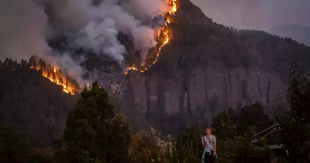 Firefighters battling biggest wildfire for decades in Tenerife