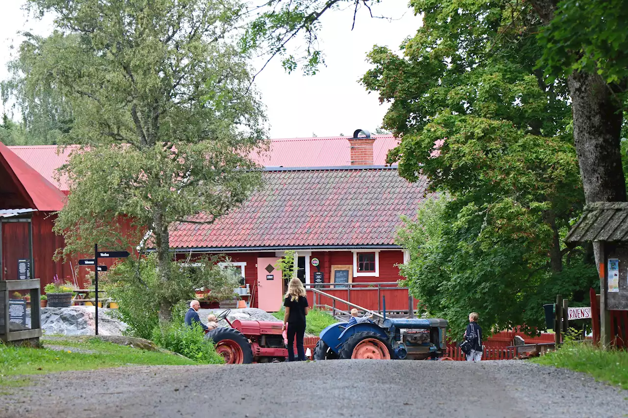 LEDARE: Färsna 4H förtjänar att räddas – och kritiseras