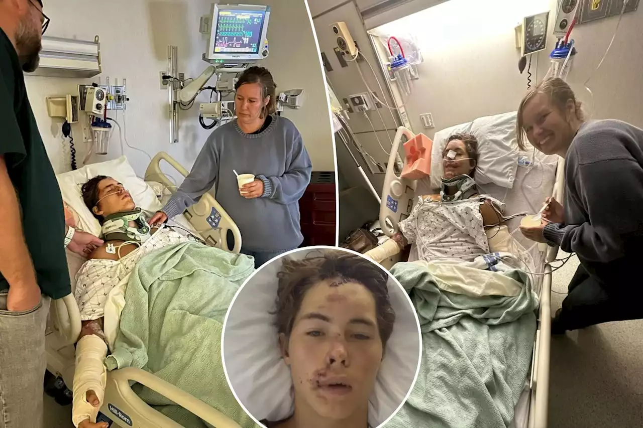 TikTok star Caleb Coffee falls ‘60 to 80’ feet off cliff onto lava rocks in Hawaii