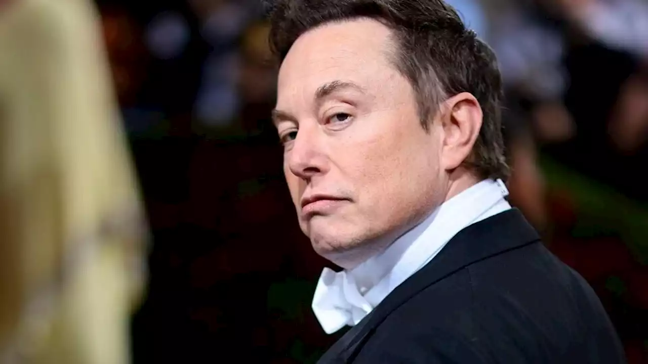 Elon Musk, el hincha privatizado y el modelo Milei