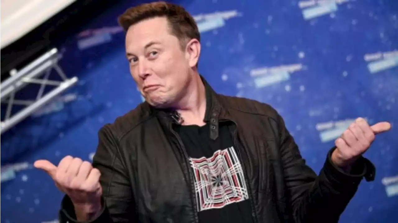 ¿Elon Musk restringe enlaces para evitar que los usuarios migren?