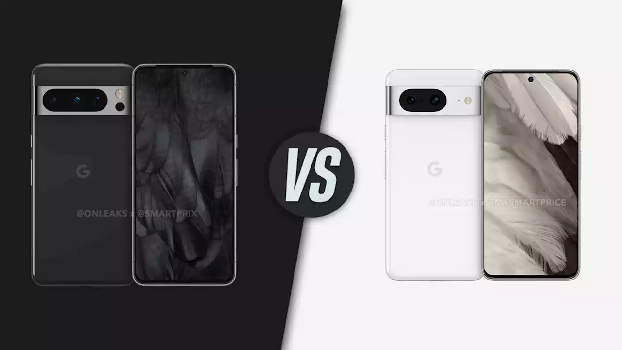 Google Pixel 8 Pro vs Pixel 8: Google is about to reap the harvest