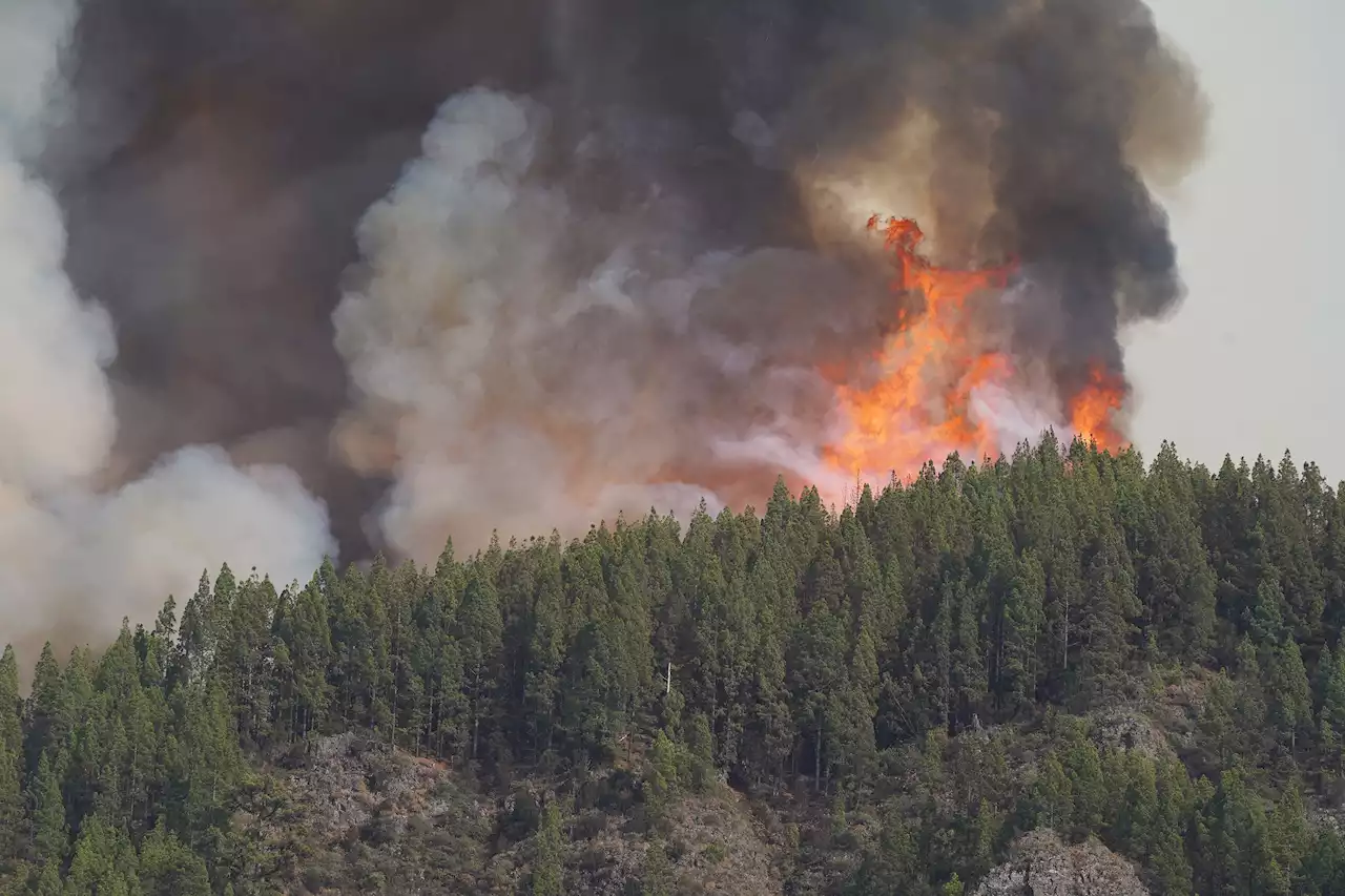 El incendio de Tenerife da un respiro al normalizar su avance, pero sigue sin control