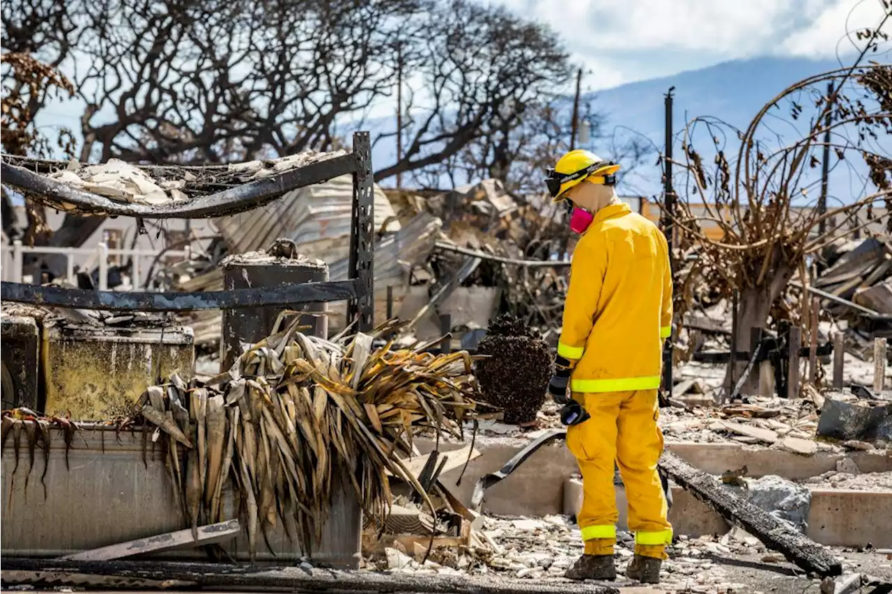 Maui officials defend decision not to sound sirens during wildfire