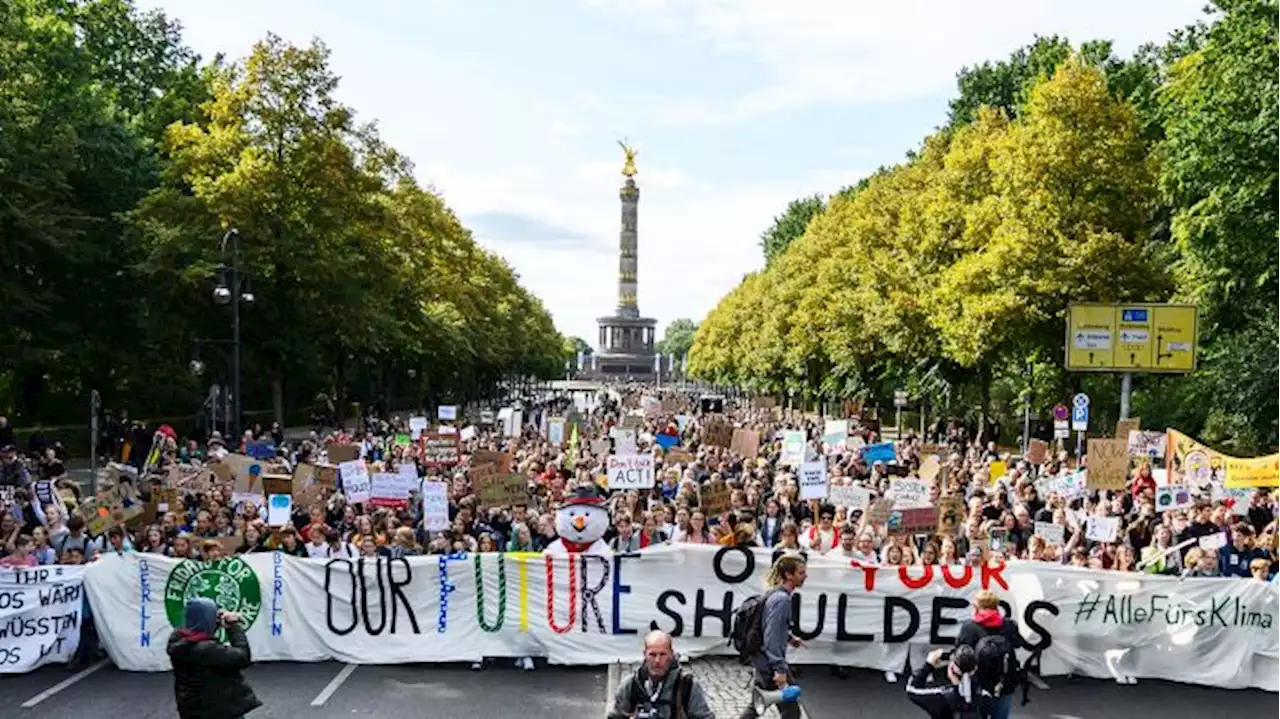 Wie die Klimabewegung das Leben von drei Aktivisten beeinflusst hat