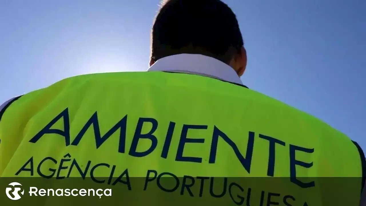 Vigilantes da natureza em greve protestam junto ao Ministério do Ambiente