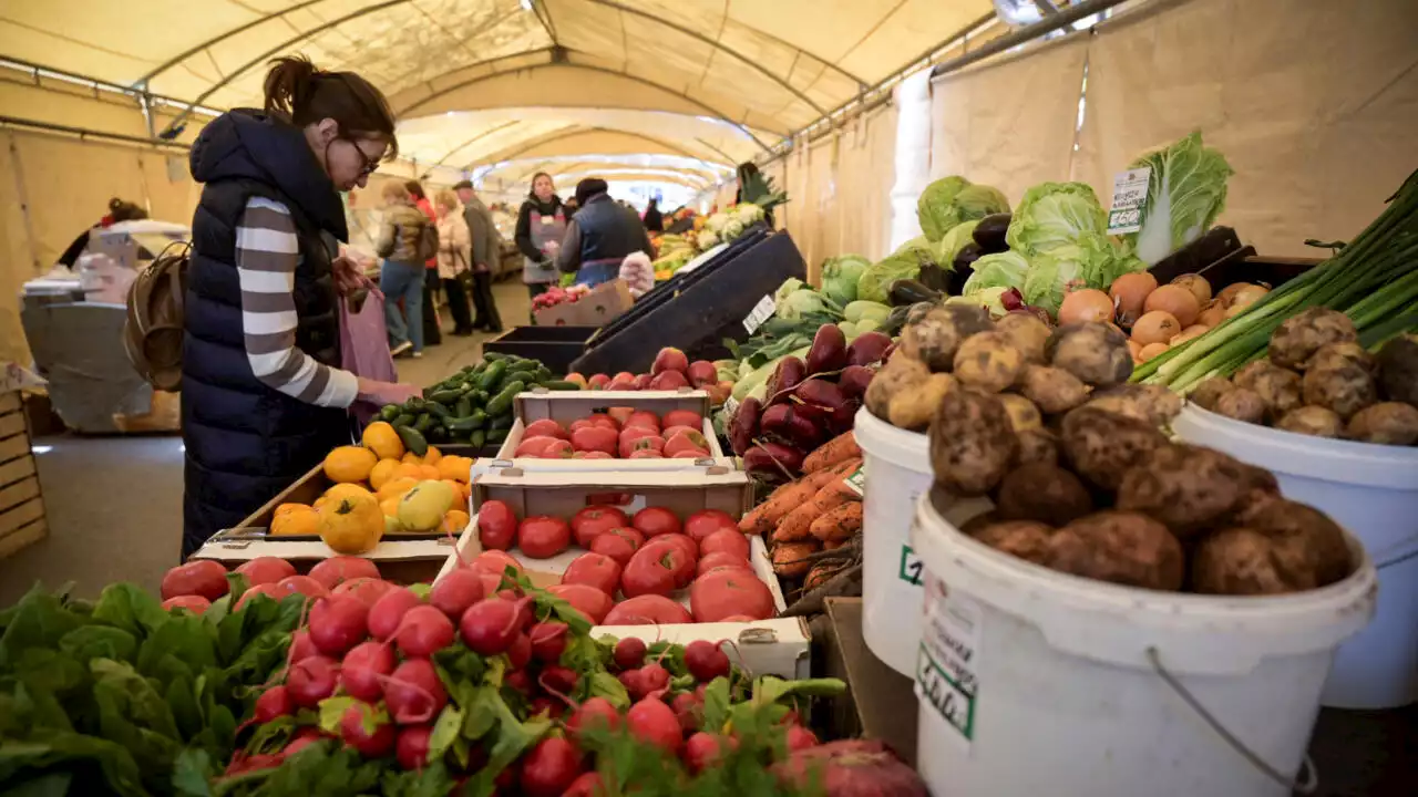 Inflation en Russie: «Globalement, toute l'alimentation a augmenté»