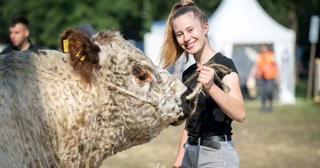 Landwirtschaft erobert Social Media: Influencer zwischen Kühen und Traktoren