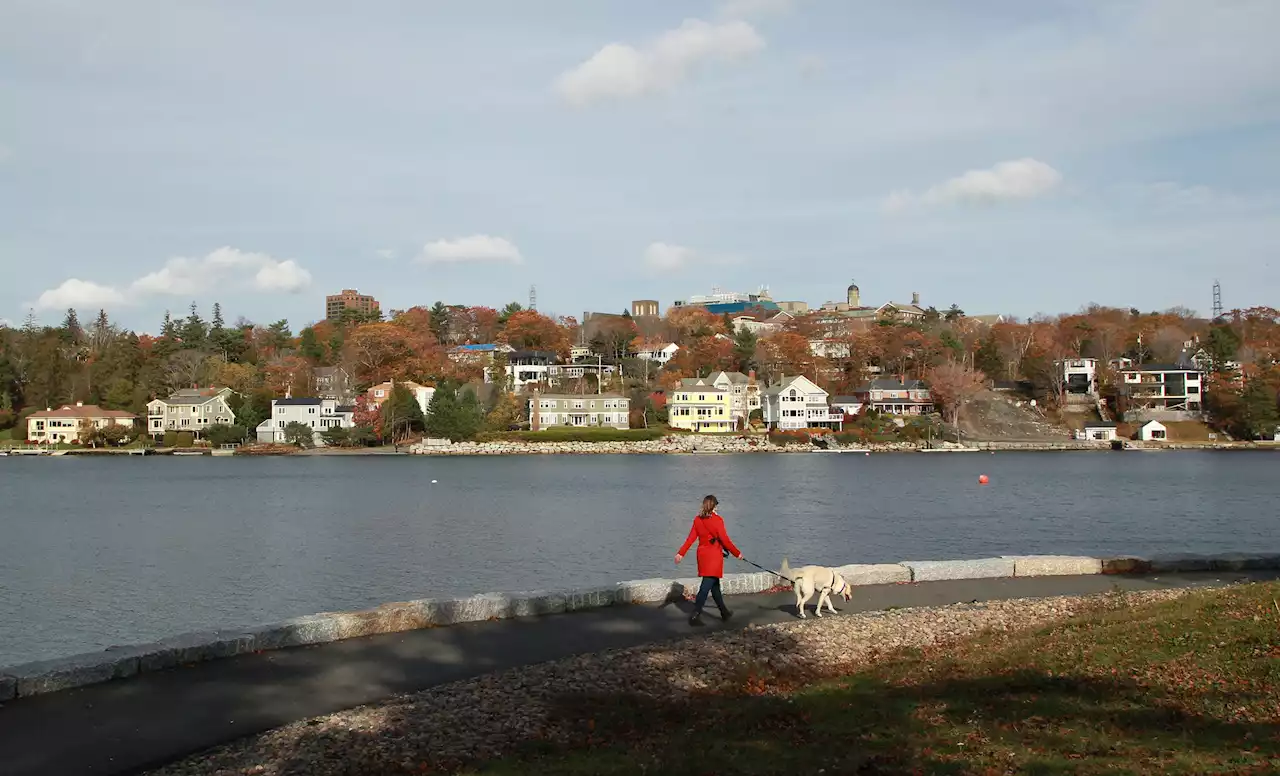 Wastewater system overflow near Northwest Arm in Halifax diverted