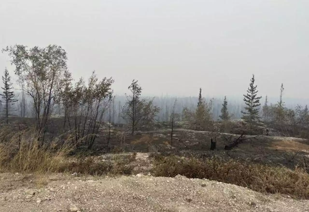 Incêndios florestais forçam evacuação de 20 mil pessoas no norte do Canadá