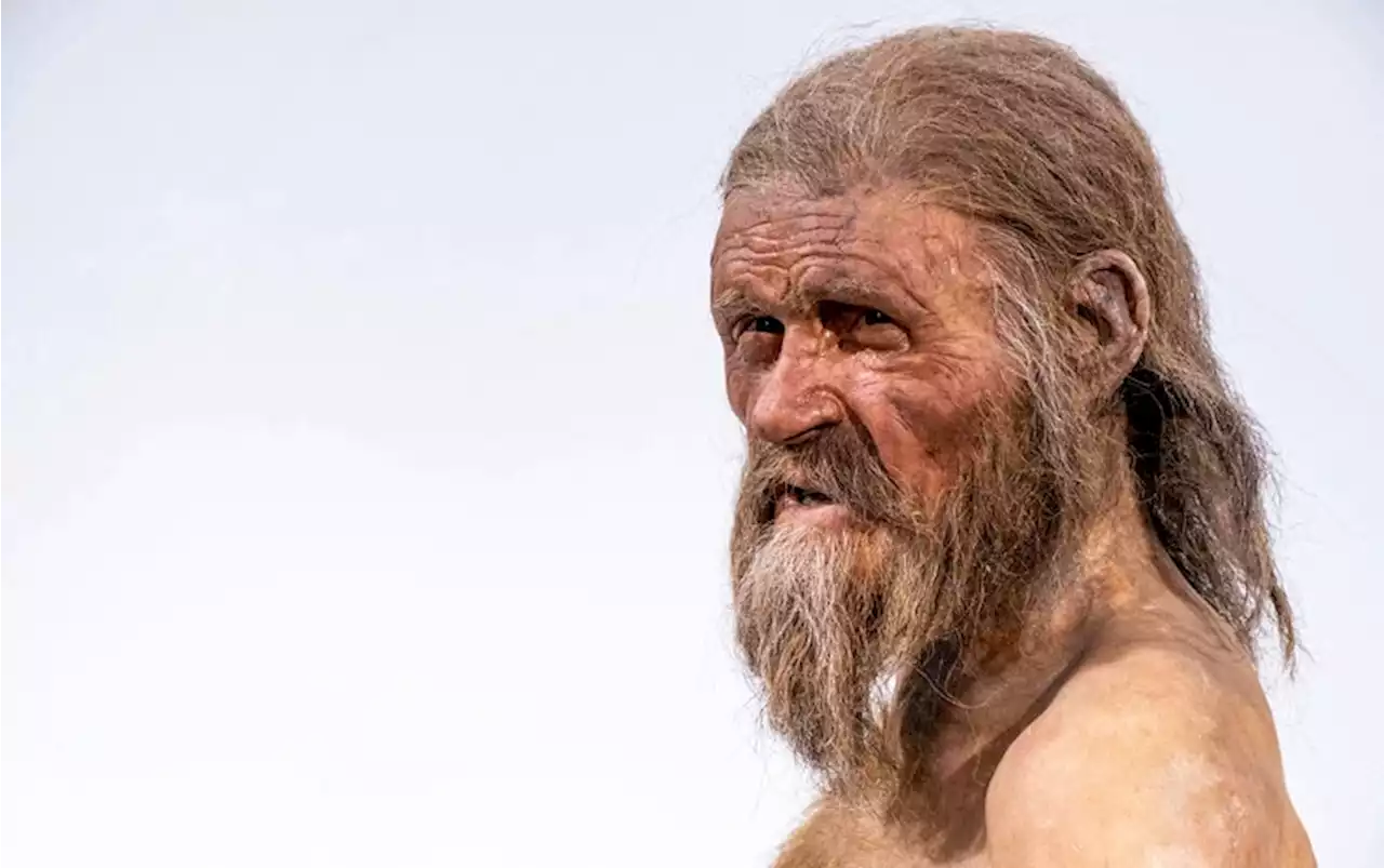 Ötzi the Iceman Gets a New Looks from Genetic Analysis