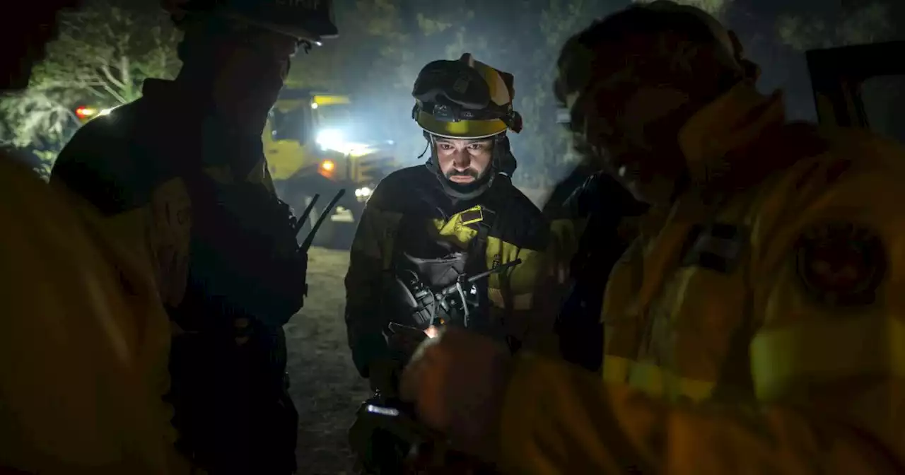 Firefighters battle through the night to halt wildfire in Spain's popular tourist island of Tenerife