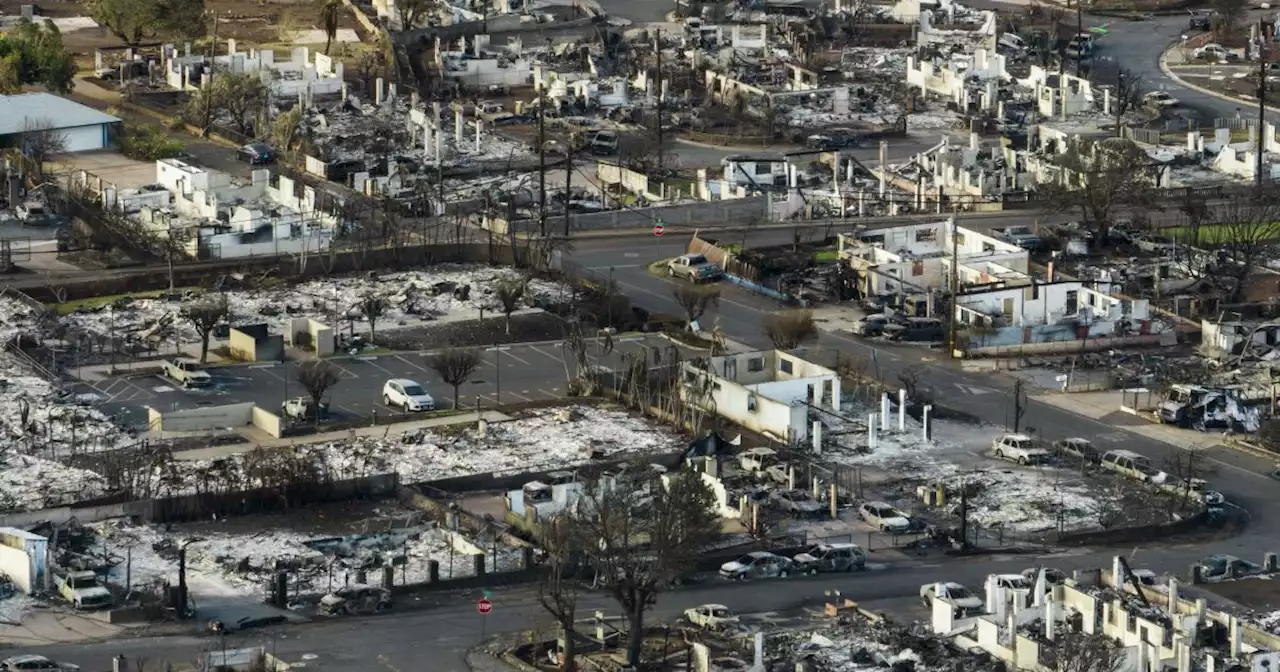 Hawaii is vowing to protect landowners on Maui from being pressured to sell after wildfires