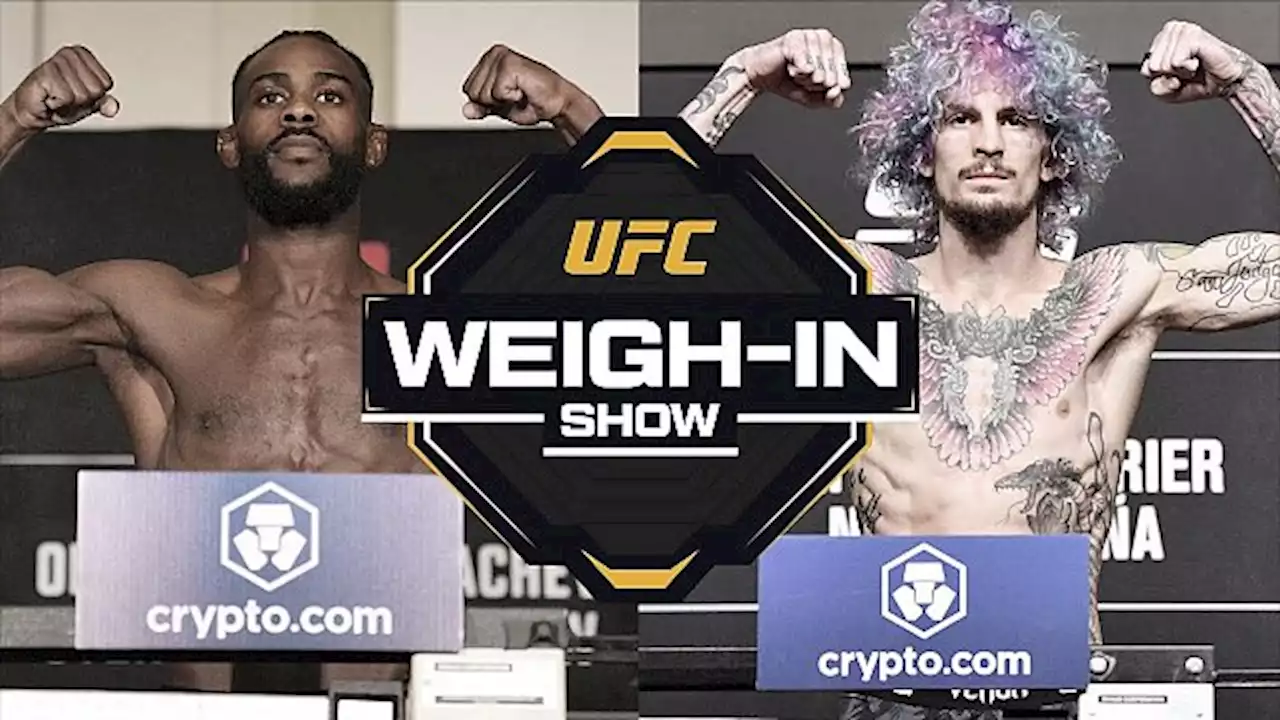 Video: UFC 292 Official Weigh-ins