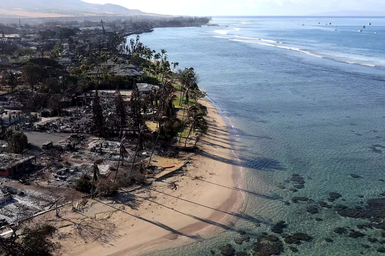 Maui Is a Warning