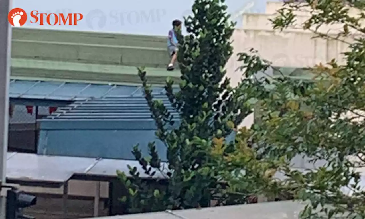 Segar Road resident concerned to see student sitting on rooftop of primary school