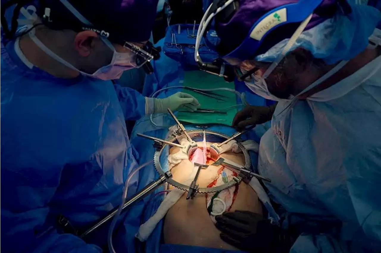 Pig kidney transplanted into human shows way to wider use