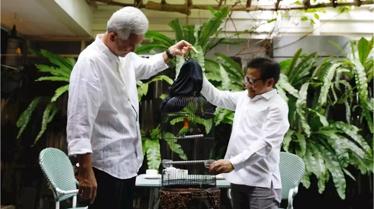 Ganjar dan Cak Imin Bertemu Diam-diam Siang Ini, Diwarnai Pemberian Burung Love Bird