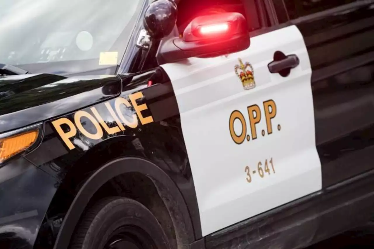 Pedestrian killed in incident on Highway 17