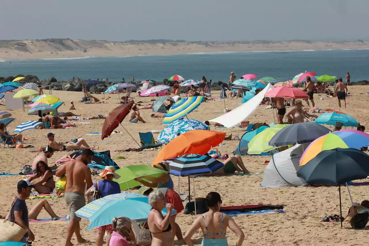 Canicule dans les Landes : la barre des 40 °C pour le début de semaine