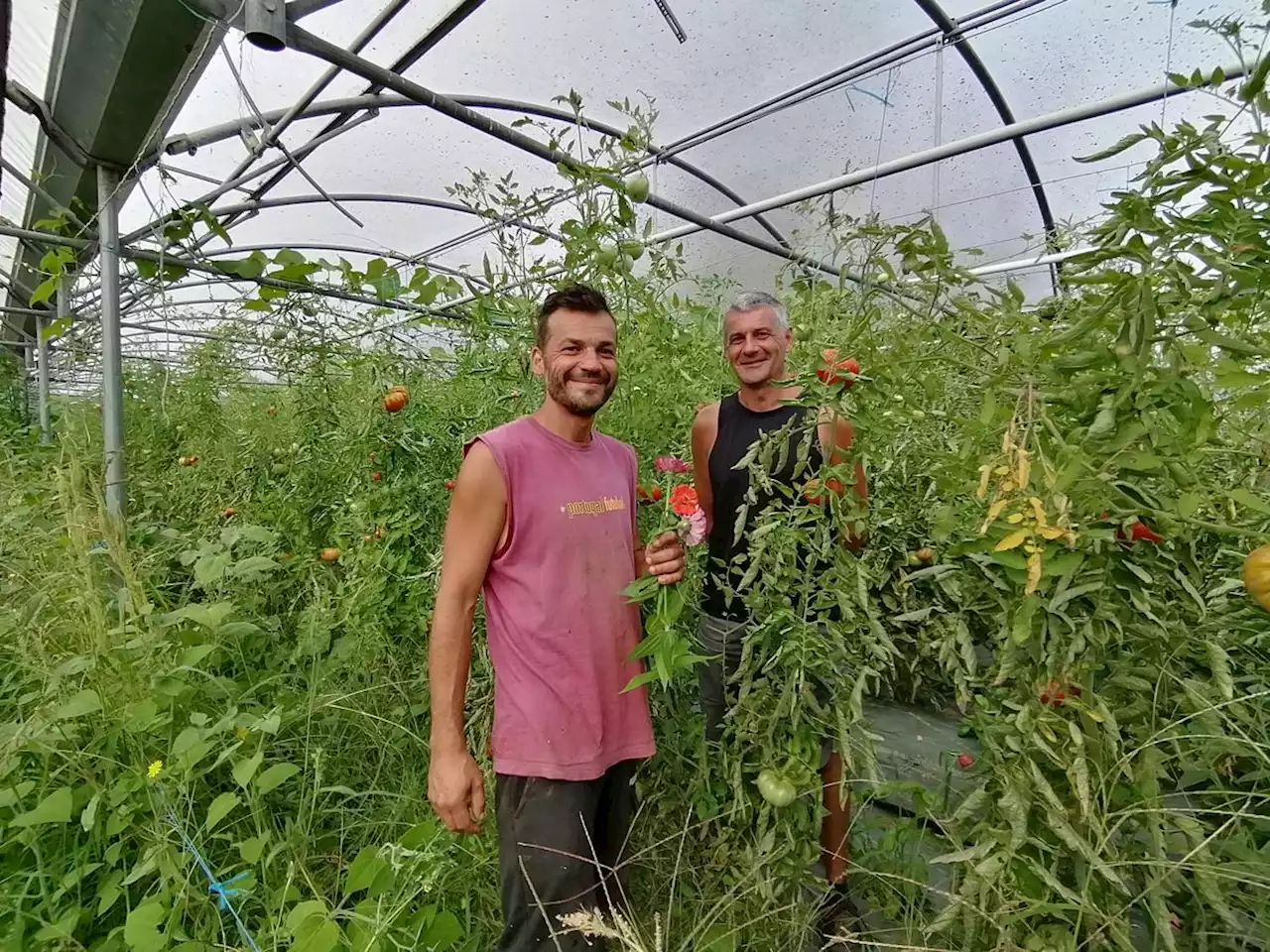 En Charente-Maritime, la Fête paysanne privée de subvention par la Chambre d’agriculture