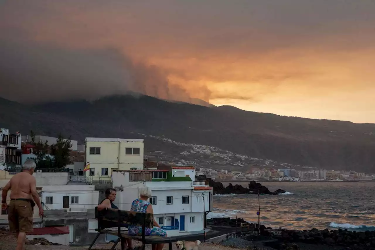 Incendie aux Canaries : déjà 3 200 hectares détruits, près de 8 000 personnes évacuées ou confinées