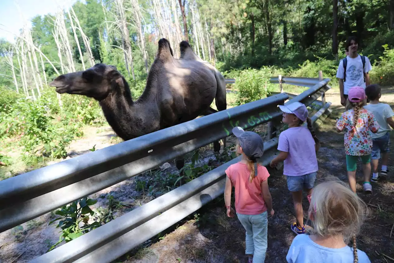 Sud-Gironde : au Parc Animalier, des visites pour sensibiliser le public