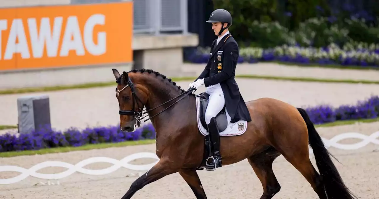 Pferdesport: Pferd verletzt: Rothenberger muss auf Dressur-EM verzichten