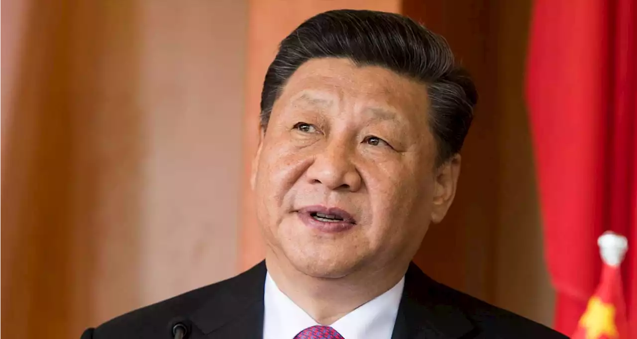 Xi's visit to SA for Brics summit marks rare trip abroad