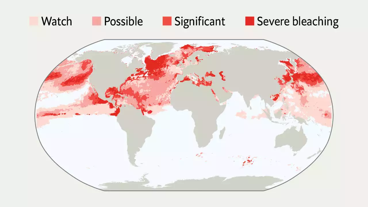 Corals are bleaching and dying earlier in the year than ever before