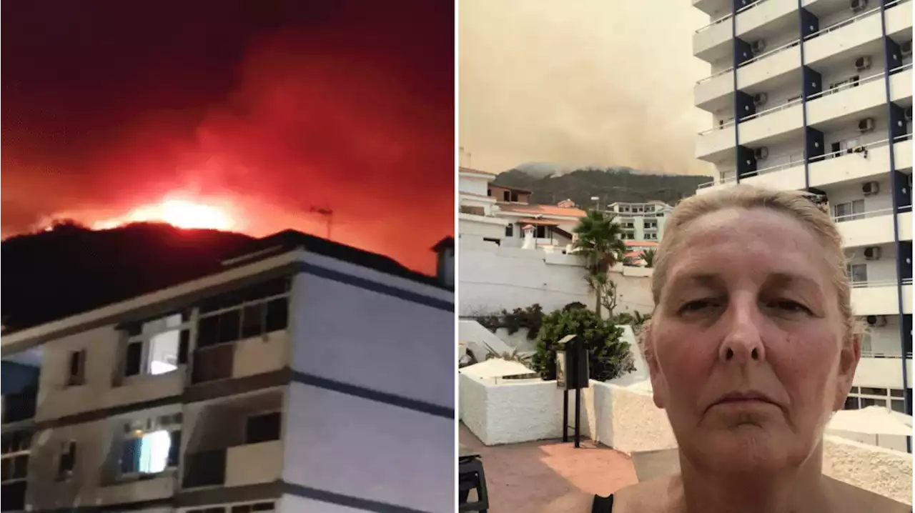 'The sun beds are black, ash is coming down on the pool' on wildfire-hit Tenerife