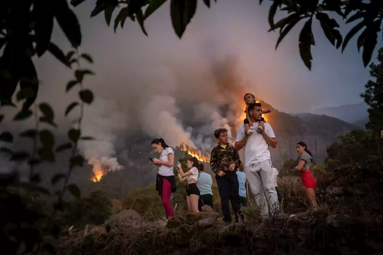 Where the wildfires are in Tenerife as thousands of people evacuated from homes